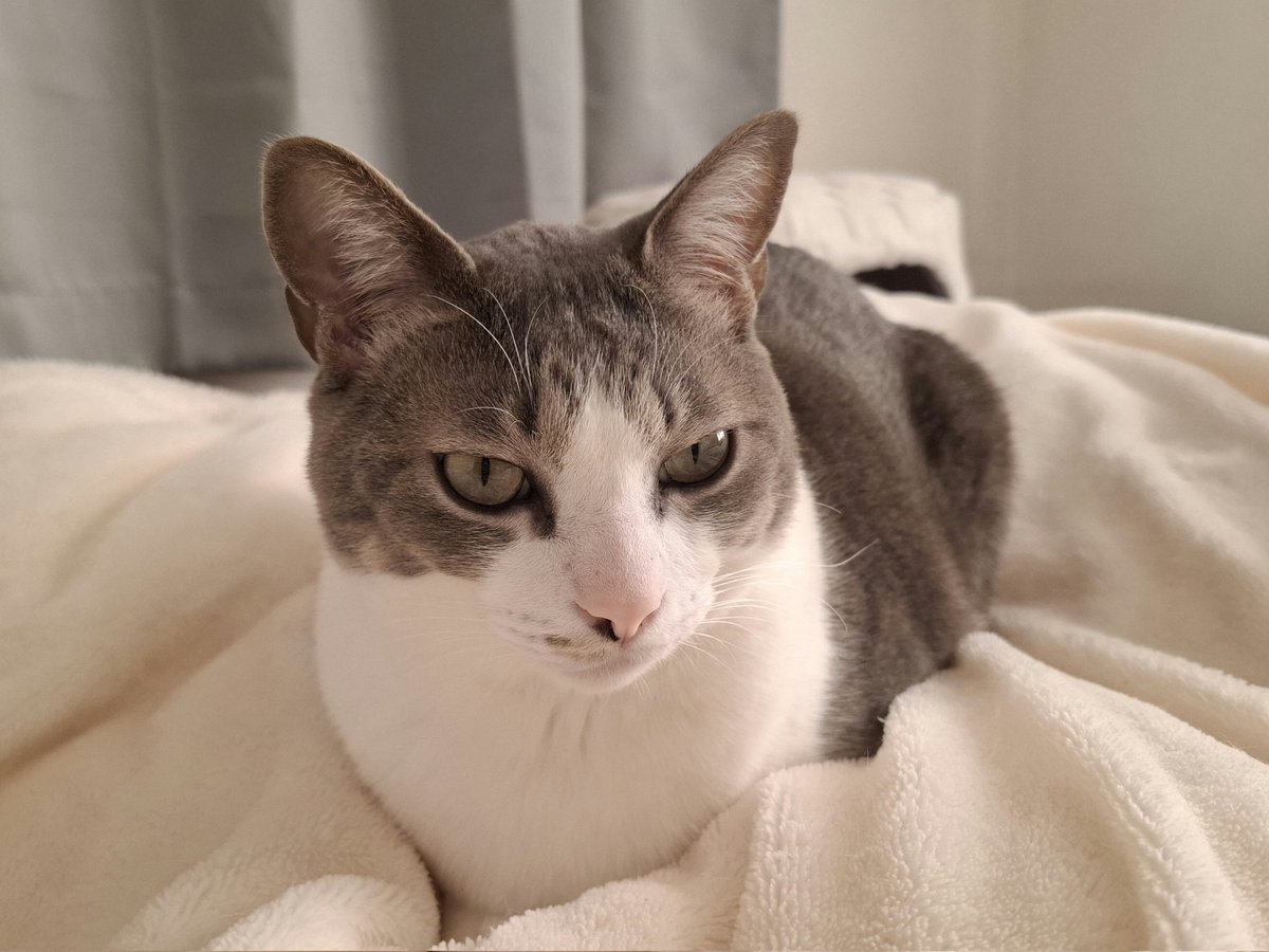 KeI. (@kei_fragments) / Posts / X