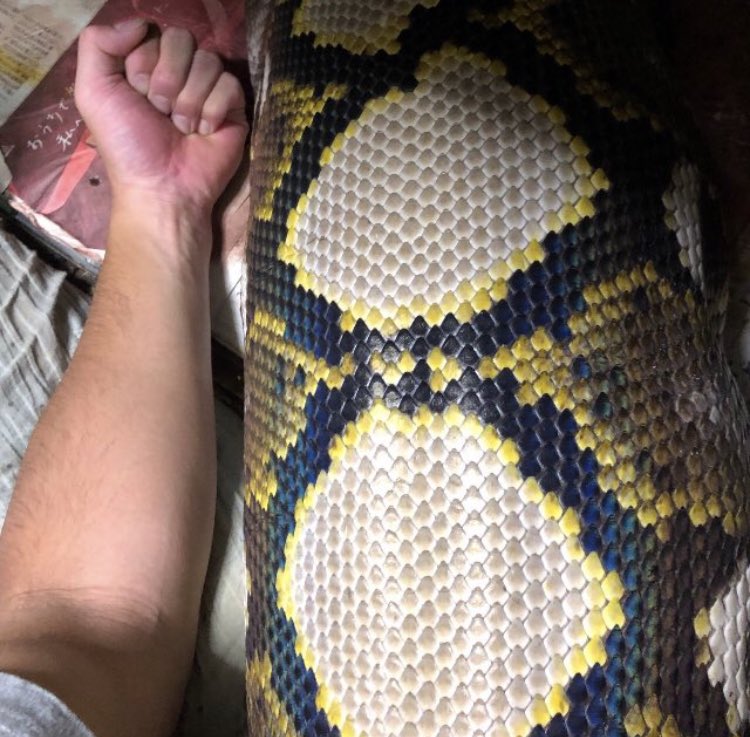 GtYb1nWNyK1W1m5's tweet image. AIが横行する昨今、この画像も疑われそう