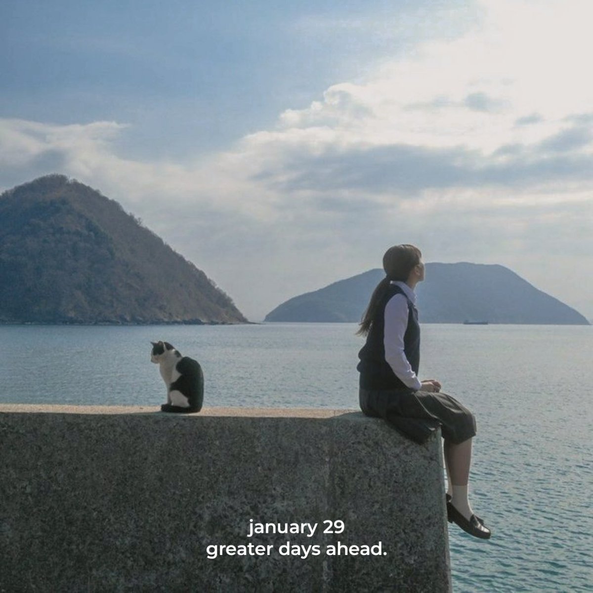 wordpostdaily's tweet image. january 29