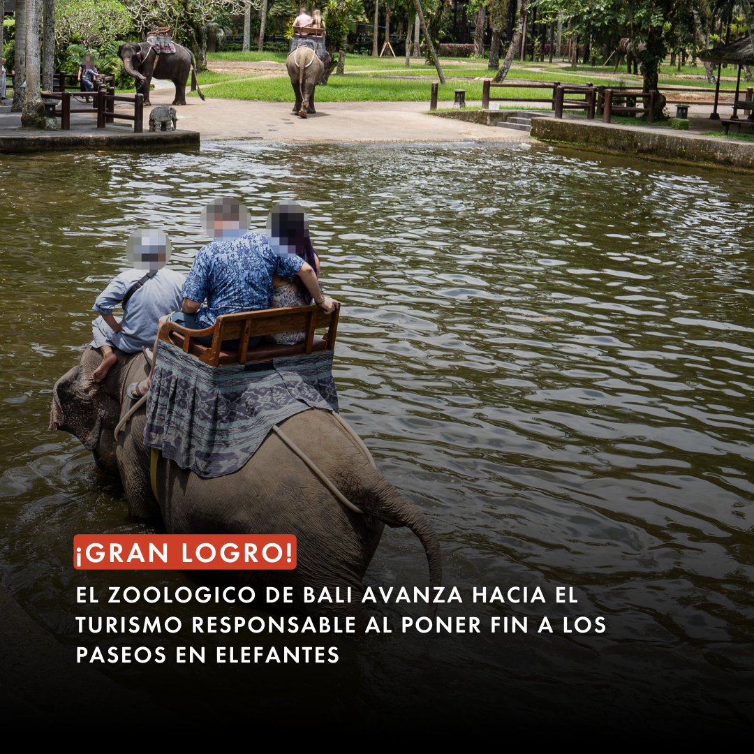 Protección Animal Mundial tweet media