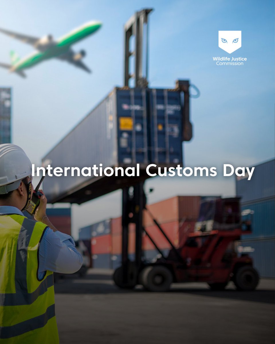 Wildlife Justice Commission tweet media