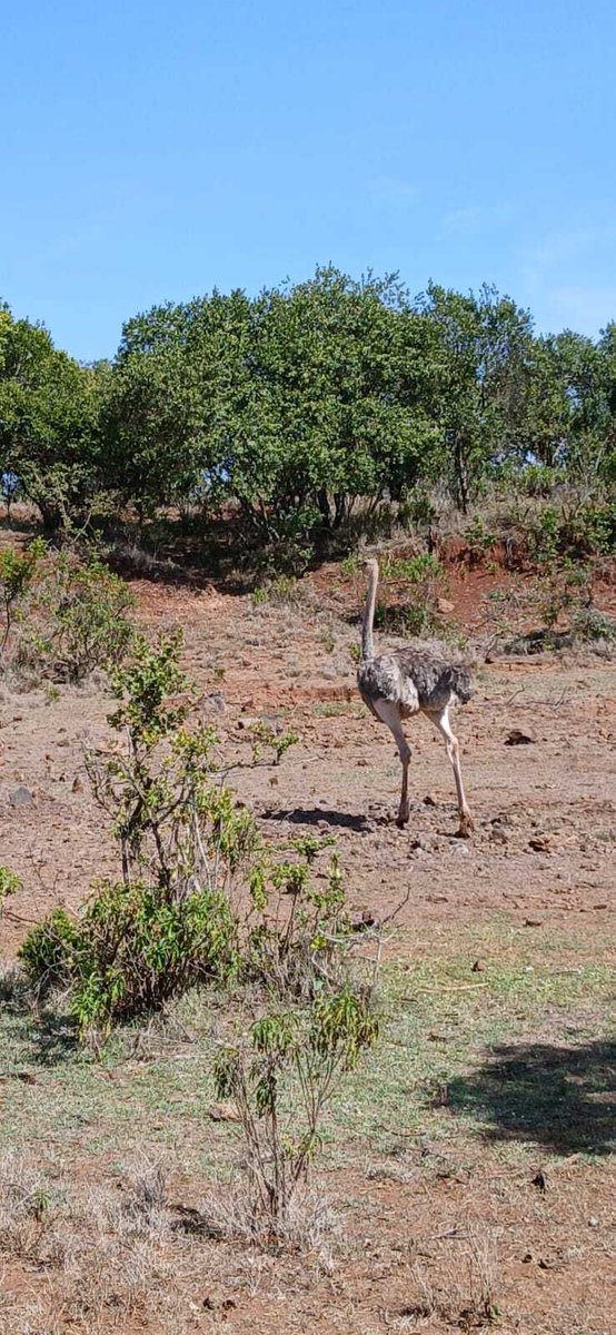 Walking into the new week with confidence and determination.
Head high, pace steady, and eyes on what is ahead. 
#Monday #MondayMotivation #NewWeek