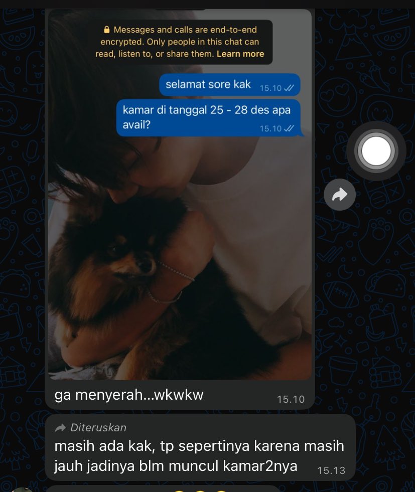 Tan k.ia🪭 tweet media