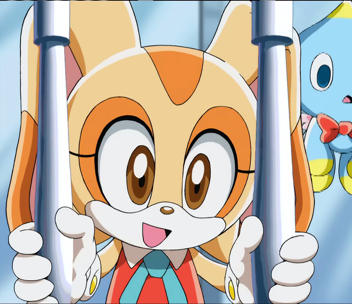 See a rabbit, post a rabbit. 🐰🧡