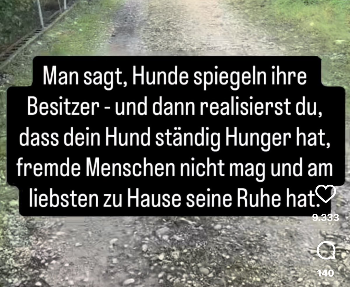 Ninotschka 💙💛 Schutzheilige der Furien (@ninotschka_) on Twitter photo 