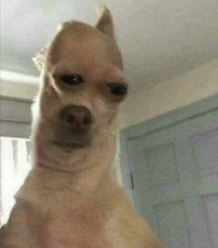 Binance Intern tweet media