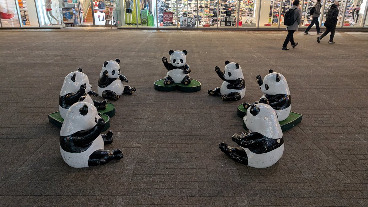 定期】パンダ会議