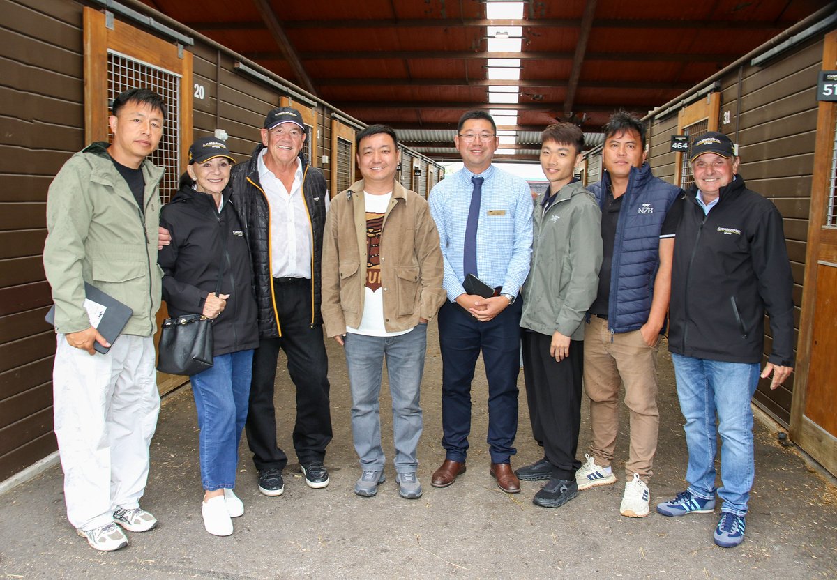 New Zealand Bloodstock tweet media
