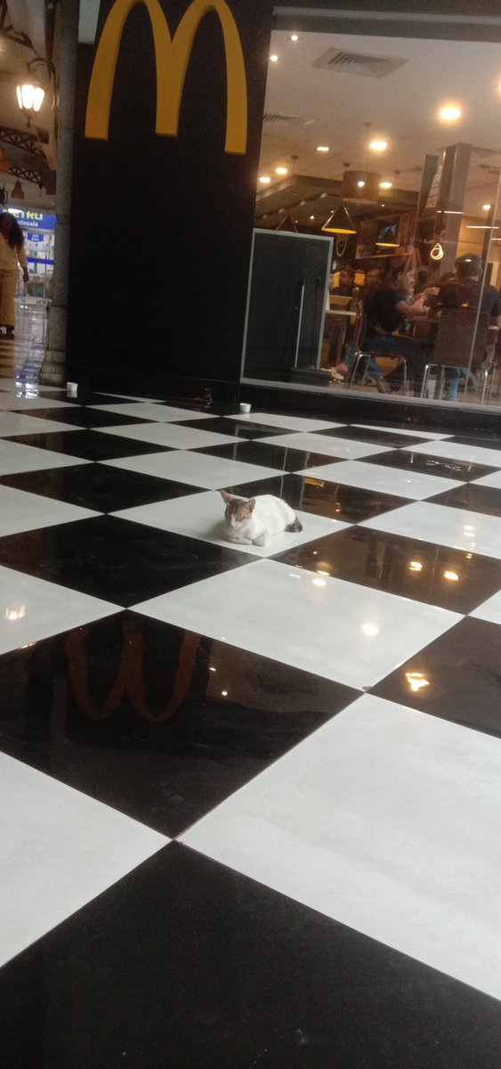 devjawale's tweet image. Iam Hungry..!