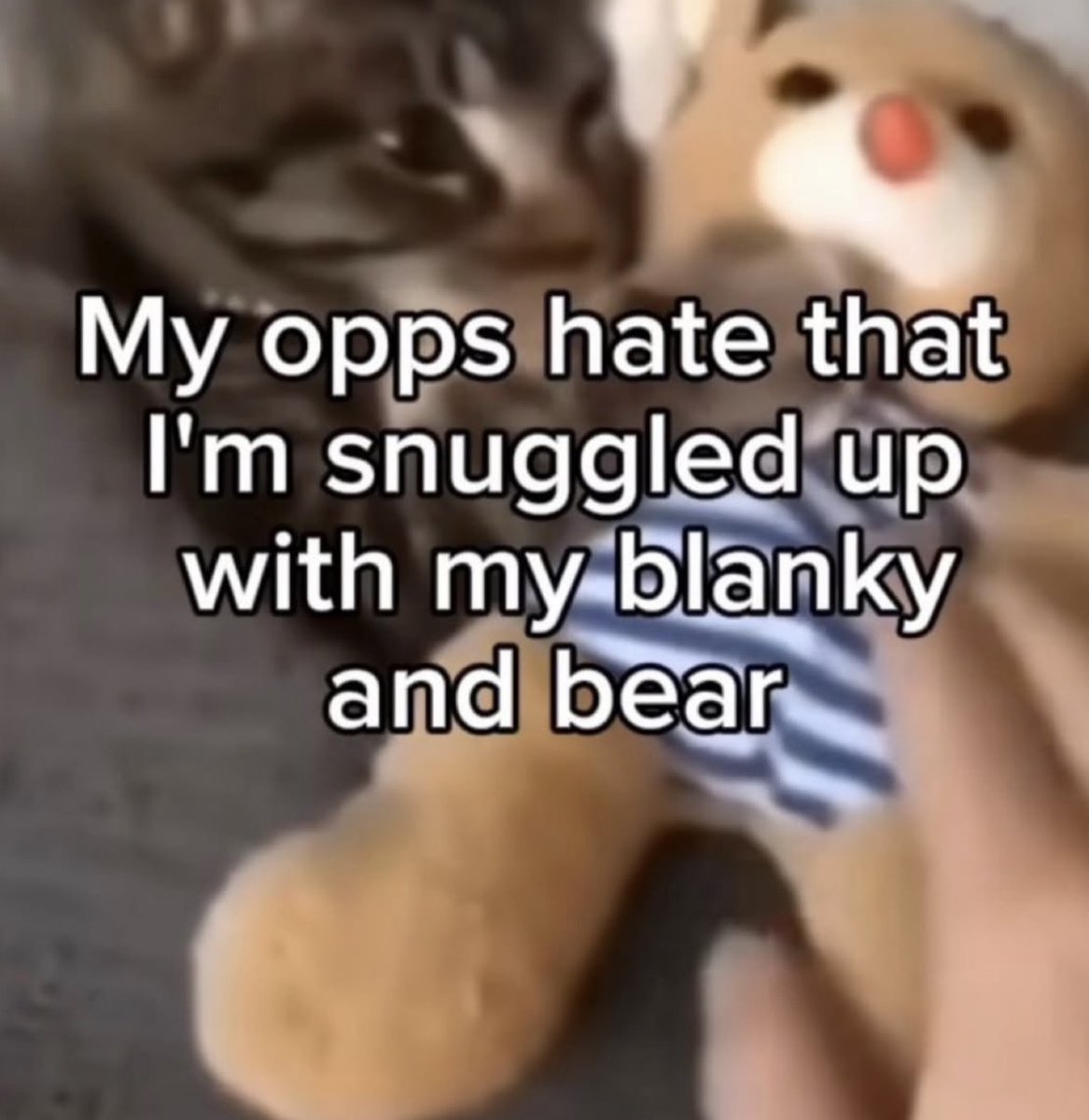 Respectful Memes (@respectfulmemes) on Twitter photo 