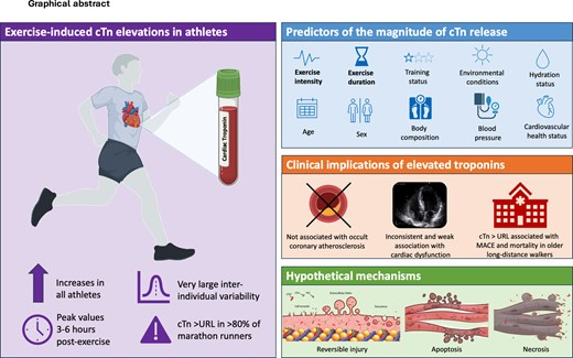 Exercise-induced cardiac troponin release: do we need to worry?
academic.oup.com/ehjacc/advance…
#Athletes #SportsCardiology #biomarkers #acutecoronarysyndrome