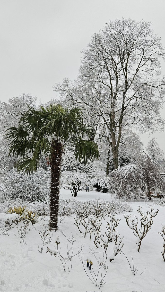 Wir wünschen Euch einen guten Start in die Woche ⛄

#Frankfurt