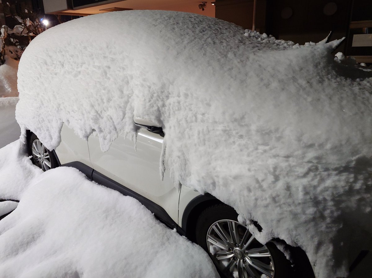 tollens_PSO2's tweet image. 君の愛車が！
ズキュンドキュン雪下ろし〜！