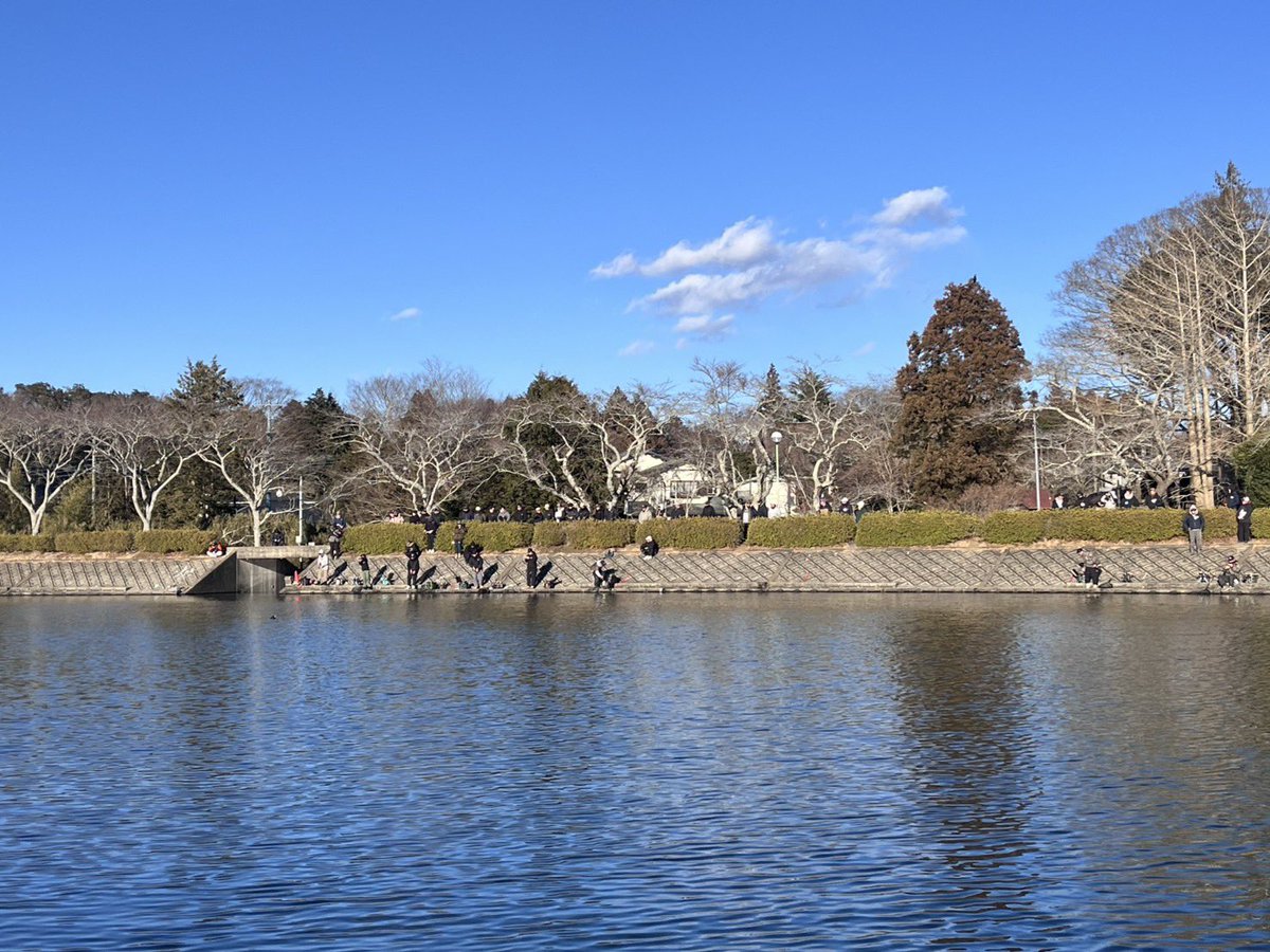 井野竜也 tweet media