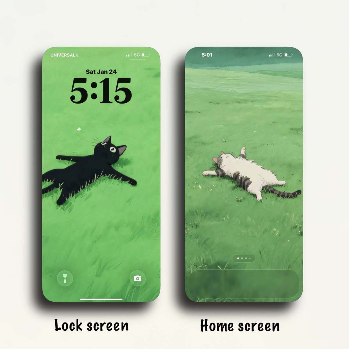 Universal4karts's tweet image. Distraught cats 🐈‍⬛