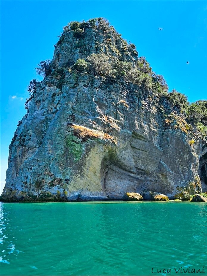 🔴 Apertura isola Bisentina 2026
↪️meteomarta.altervista.org/portale/isola-…
#tuscia