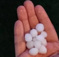 T3mpest_.Strike tweet media