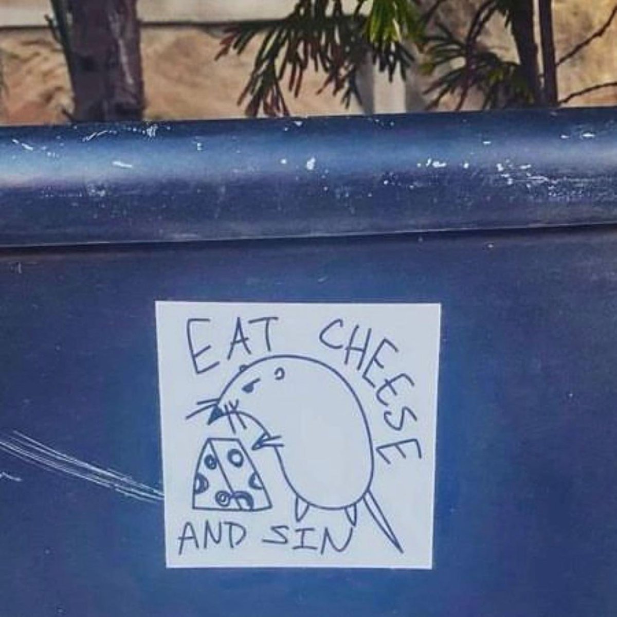 Rats (@legalizerats) on Twitter photo 