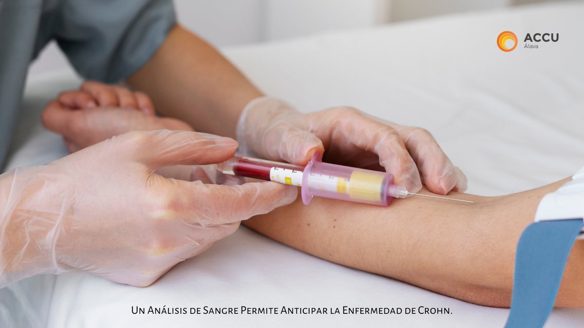 ACCU Álava tweet media