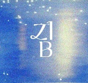 ahnwana's tweet image. so Z1B = 집 = home