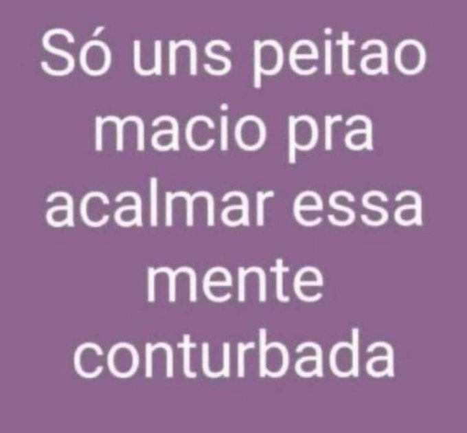 perfil dedicado a gatinhos e peitos (@odeiootaco) on Twitter photo 