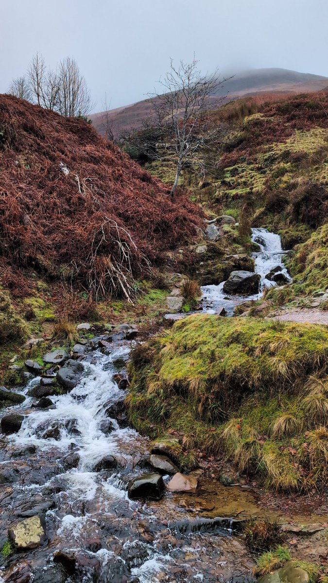 Sarah Lister tweet media