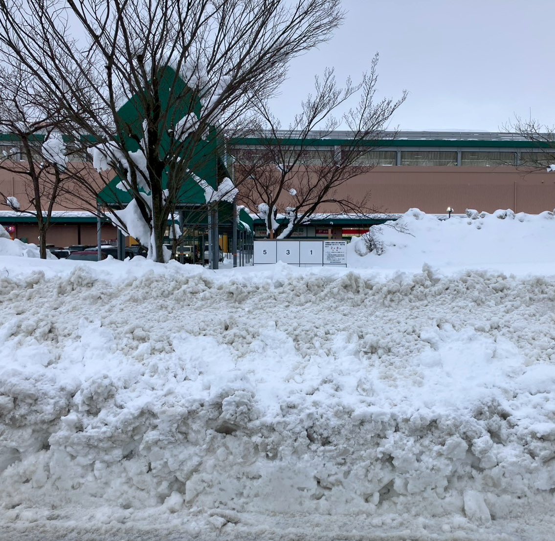 sakurauchikoshi's tweet image. こちらは、今日の長岡の公営掲示板、、、

新潟県内にはさらに雪深いところも。
落雪で危険だったり、「設置完了が見通せない」状況です。
news.yahoo.co.jp/articles/54049…