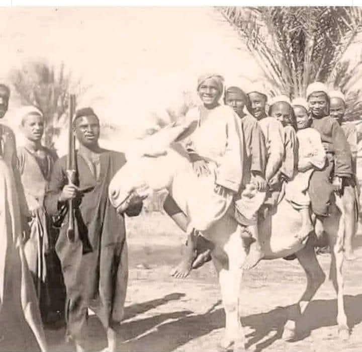 كل حاجه زمان كان فيها بركه .. حتي الحمار كان 7 راكب😁