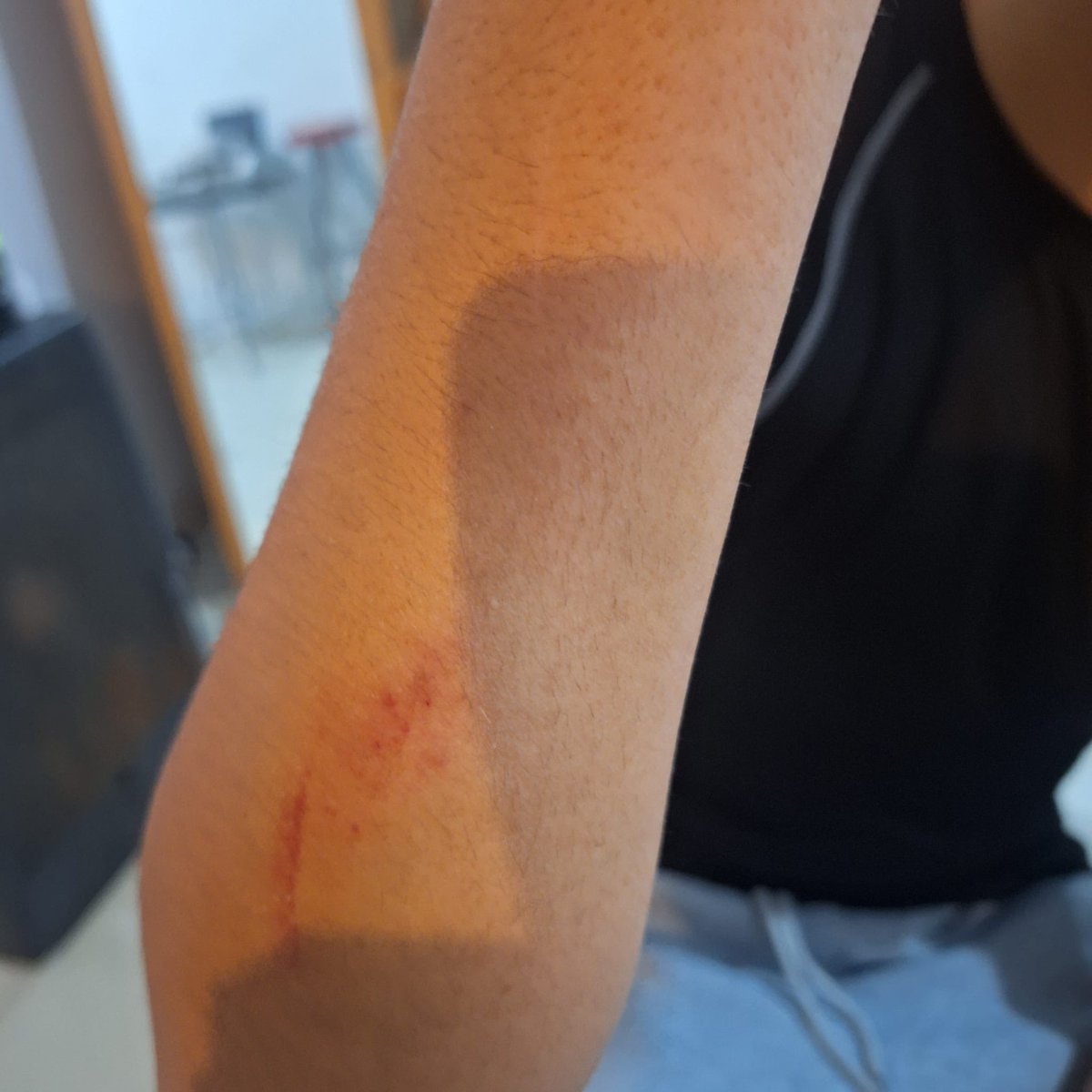 Aleix Massegú tweet media