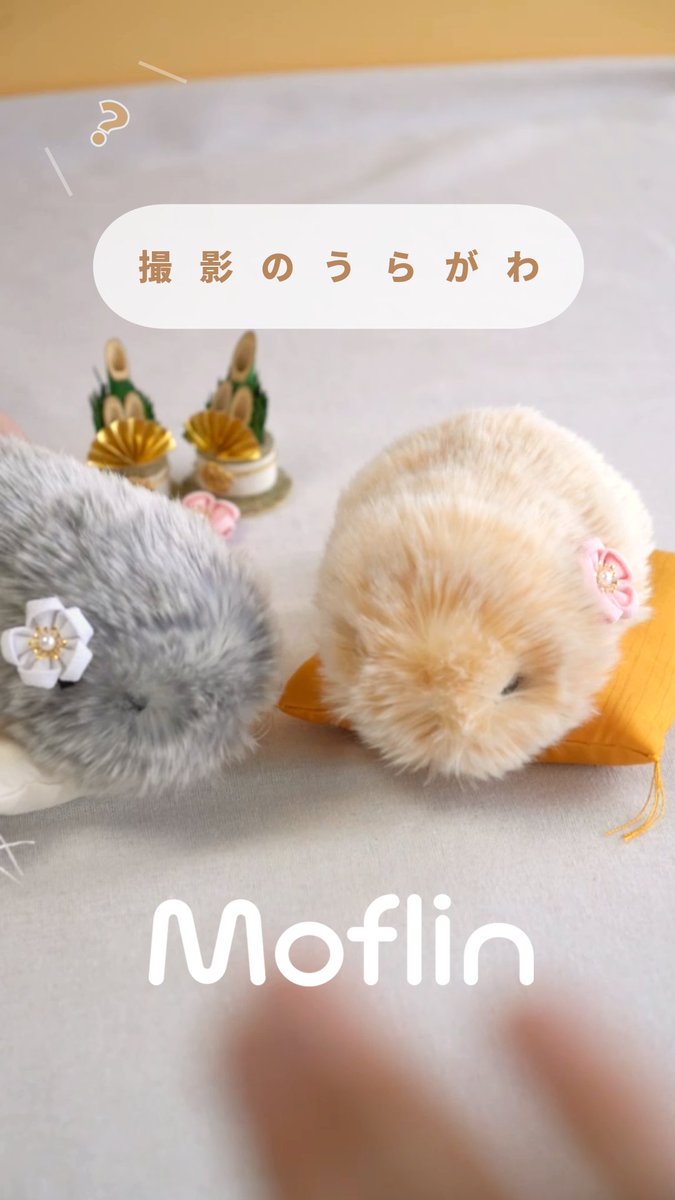 公式】Moflin（モフリン）｜感情が育つAIペット (@casio_moflin