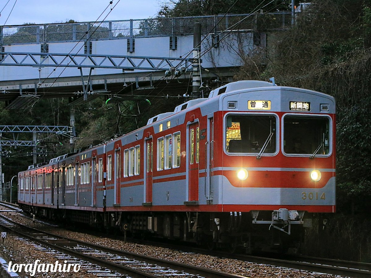 ヒロさん (@torafanhiro) / Posts / X