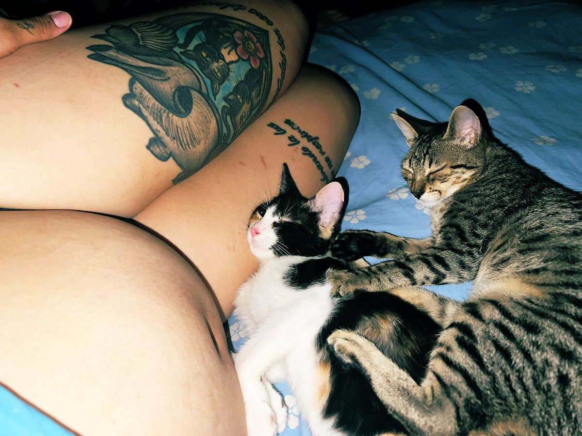 Villalobo Giuliana 🐜 tweet media