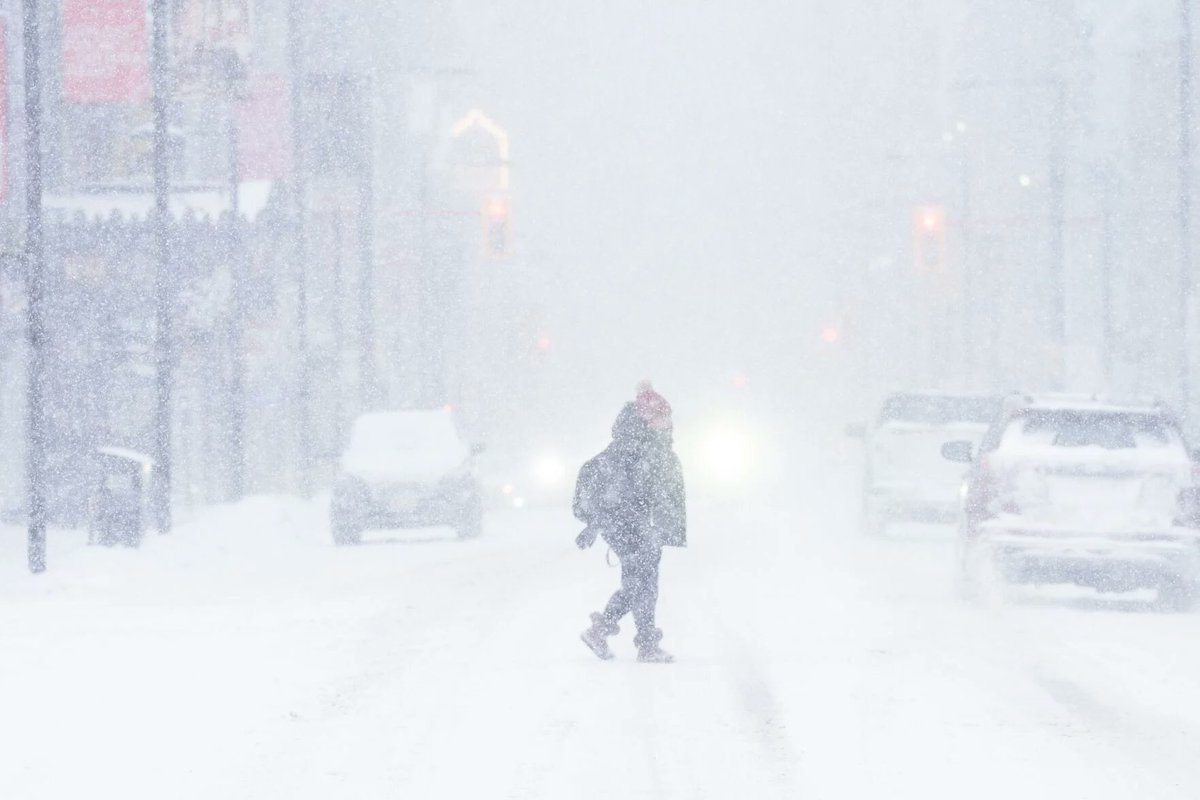 Jane Brown tweet media