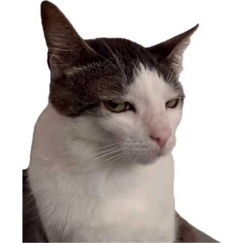 Boo 💕 | #JUSTICEFORREN #JUSTICEFORSYN tweet media