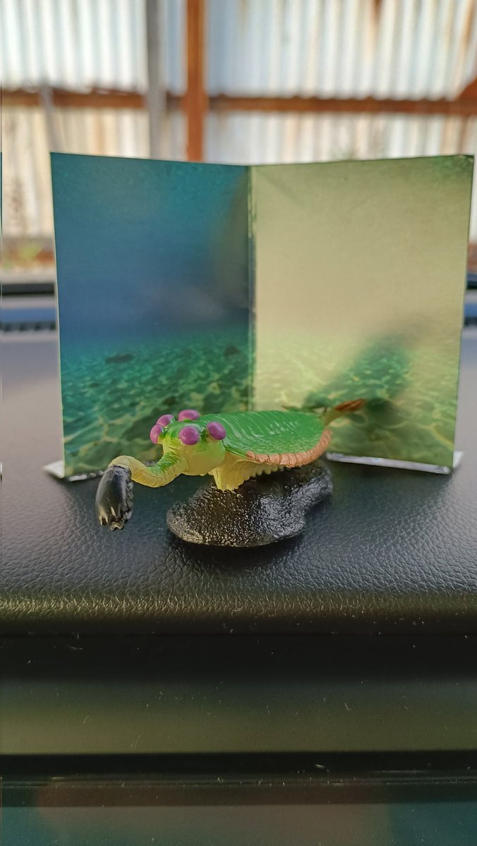 Inactivecamper's tweet image. みんな大好きオパビニア