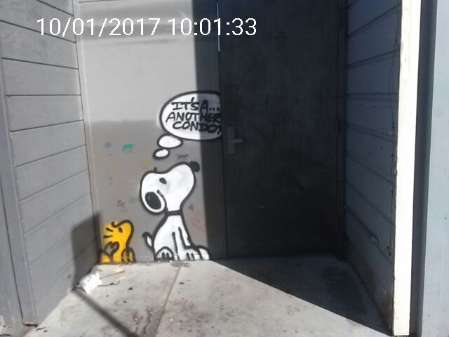 san francisco cops take photos of graffiti violations. i scraped 100,000 citations from their website. art, but through the eyes of the law walzr.com/sf-graffiti
