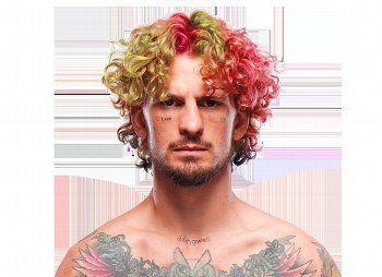 The Fight Fanatic tweet media