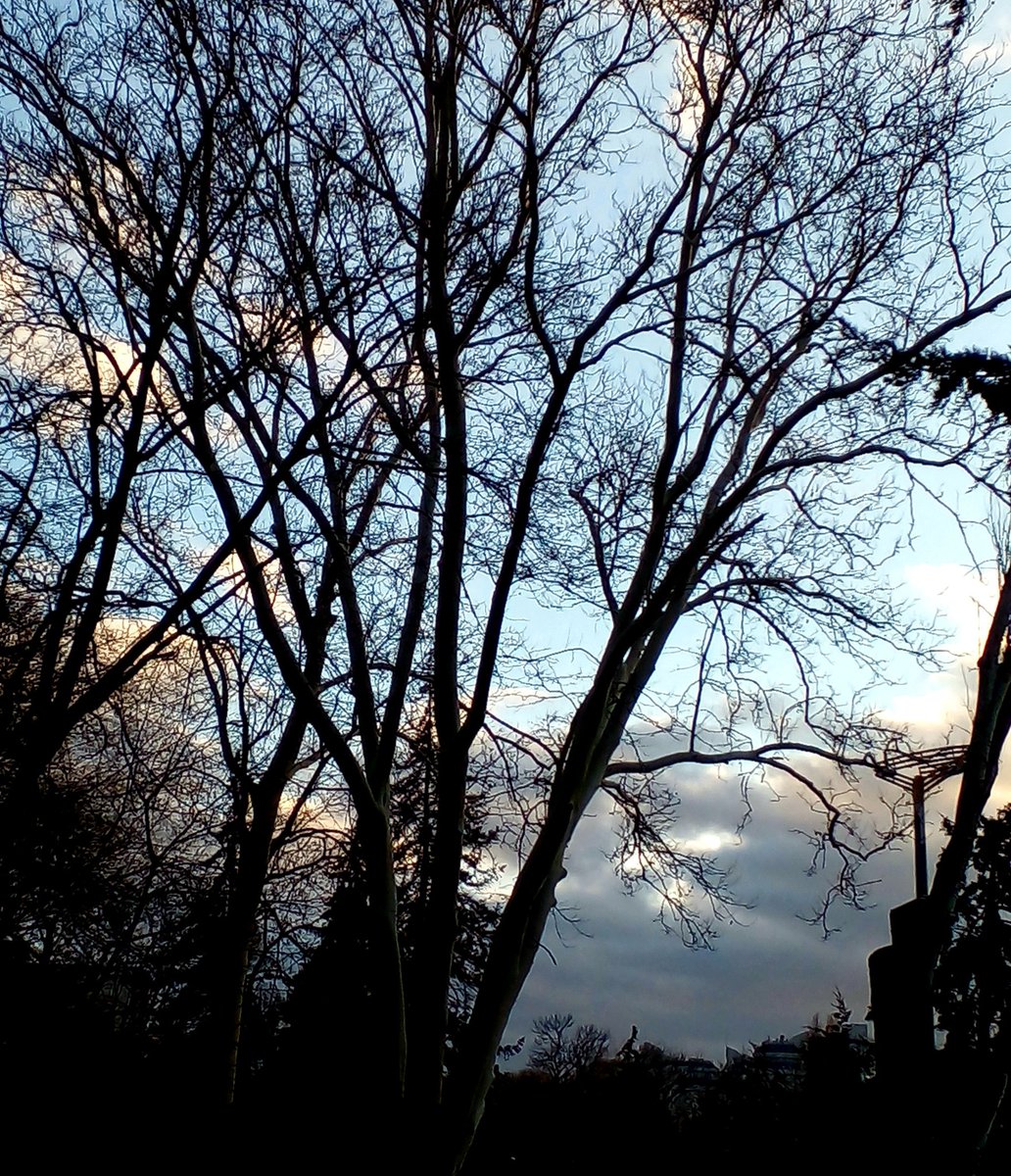 Катерина Галич tweet media