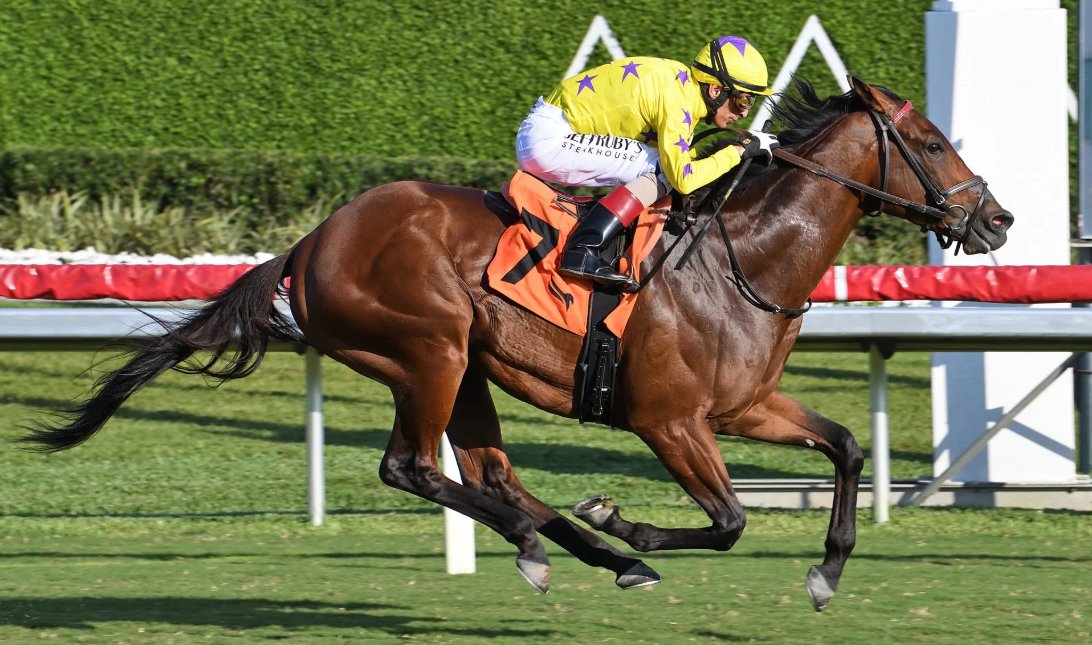 FreemanStallions tweet media