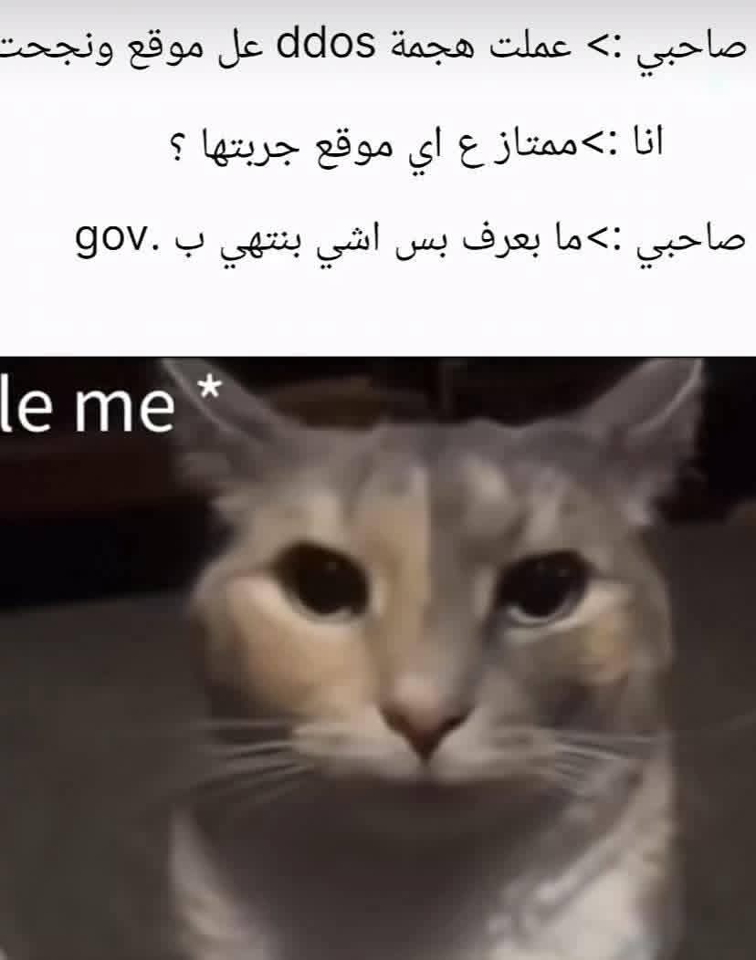 𝗗𝘀𝗼𝗸𝗲𝗩🧑‍💻 tweet media