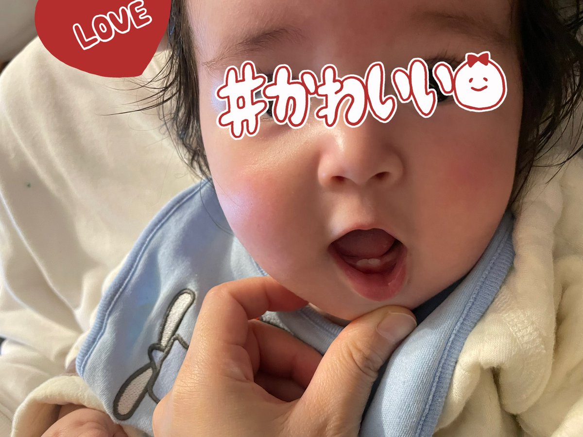 きちまる キャプテンきちまる (@kichimaru1029) / Posts / X