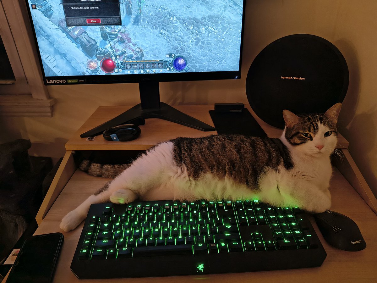 Tank_Gates tweet media