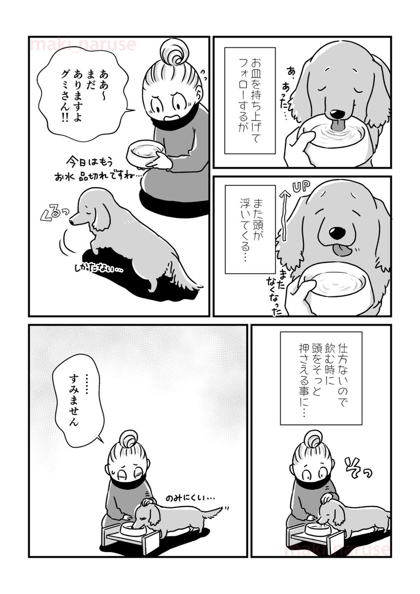 【再掲】「水分補給」(2/2)

#グミ銀
#グミ王子
#柴犬銀次郎
#真希ナルセ 