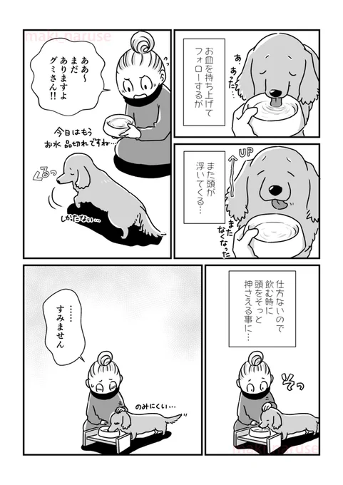 【再掲】「水分補給」(2/2)

#グミ銀
#グミ王子
#柴犬銀次郎
#真希ナルセ 