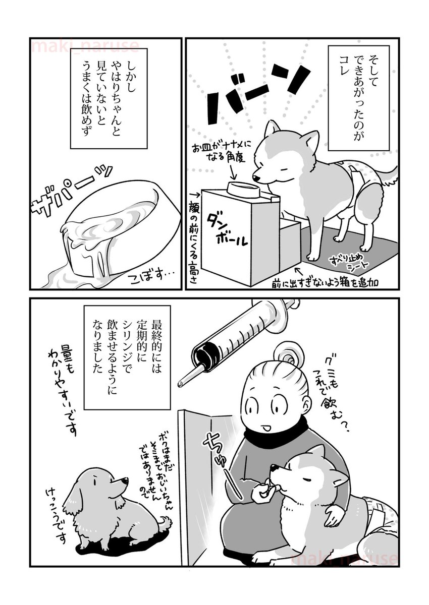 【再掲】「水分補給」(2/2)

#グミ銀
#グミ王子
#柴犬銀次郎
#真希ナルセ 