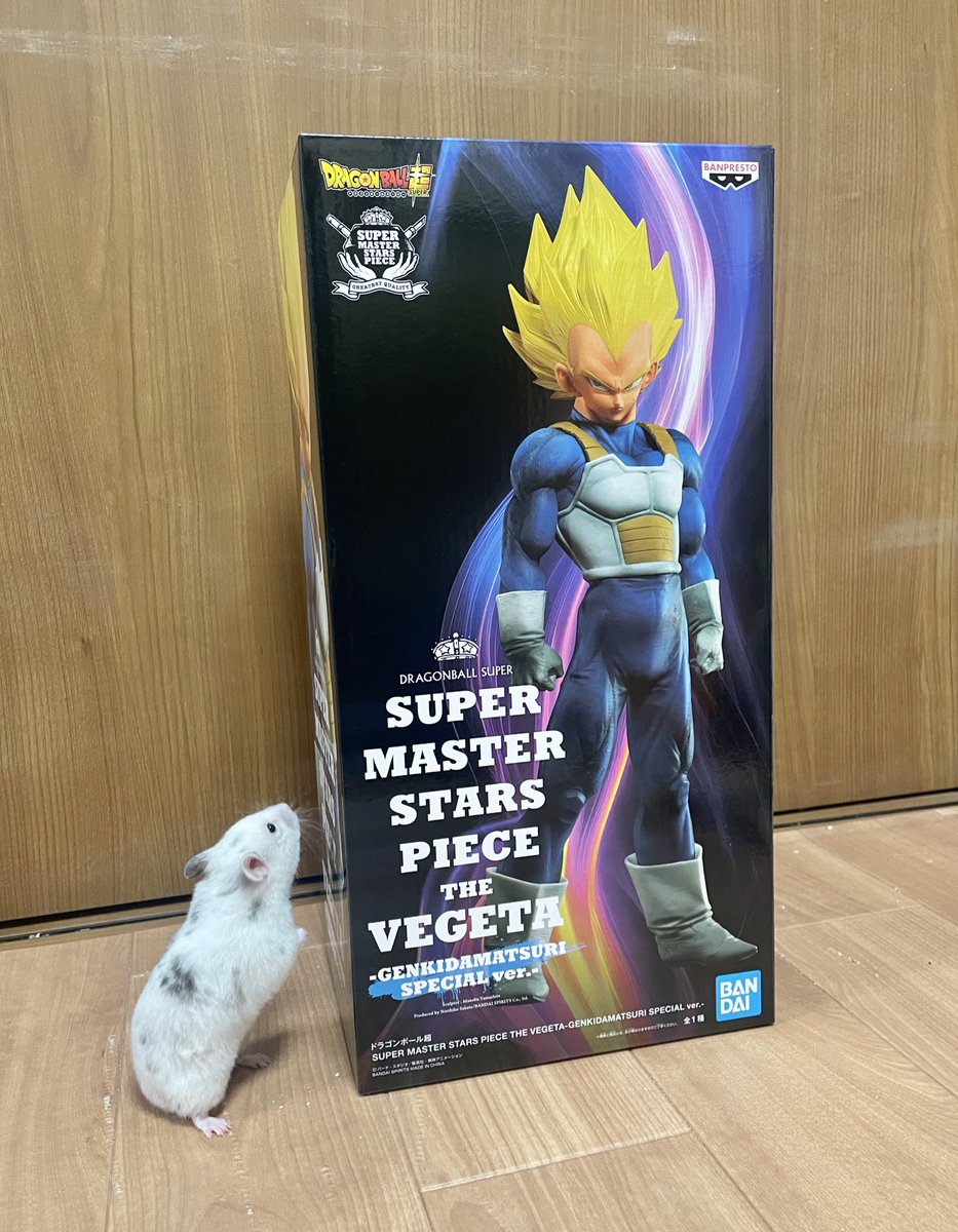 S*様 smsp ベジータ マンガディメンションズ SMSP ベジータ SUPER MASTER STARS PIECE THE