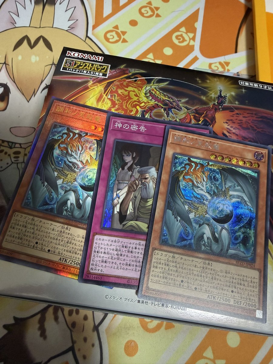 結果
プリシクはなかったが元は取れたと思う