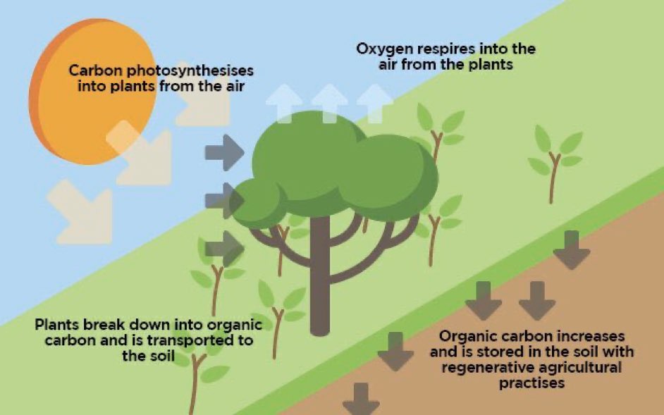 Basic science that many people learned at school.