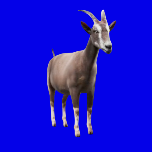 From Mesopotamian pastures to the Solana blockchain. The goat has been the standard for 11,000 years. Don't bet against the original.

$Goat Eo27b2DABqQjYAU28KqYE7ybMX3sPokFgTQFJmdepump