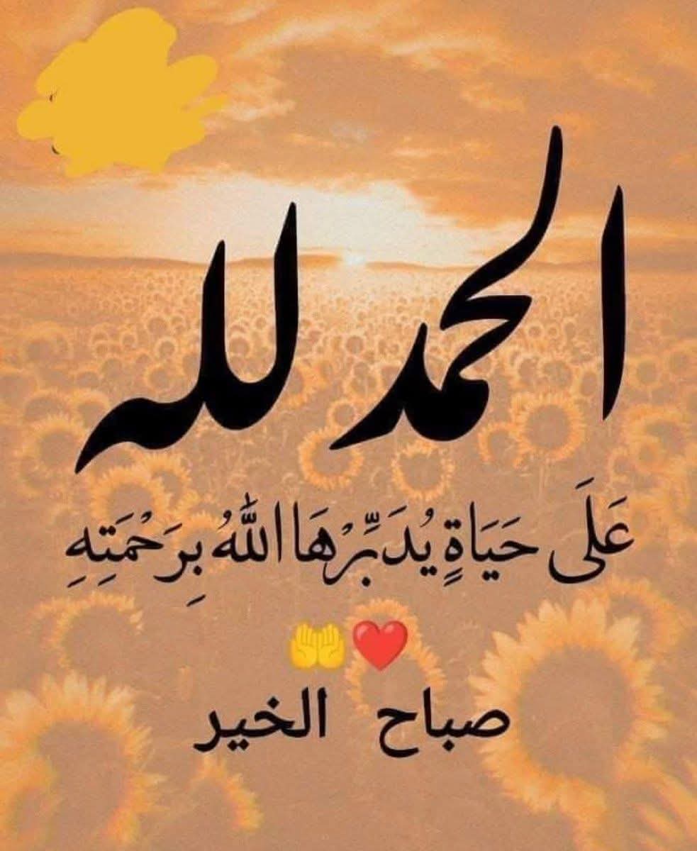 川のん川〇いよ🔥 tweet media